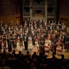 YSO 2008 003