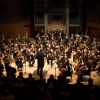 YSO 2008 005